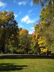 Naklejka premium Осень