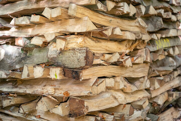 Herbstliche Landschaften im Wald und auf der Wiese, Pilze im Wald, Autumn landscapes in the forest and on the meadow, mushrooms in the forest