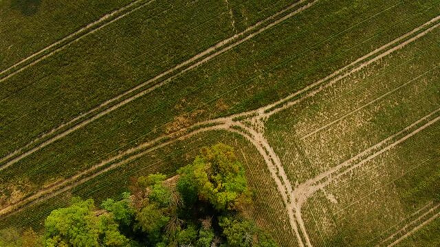 Beautiffull Autumn drone fly over the trees and fields