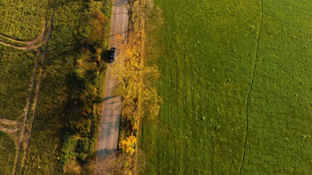 Beautiffull Autumn drone fly over the road with car driving by