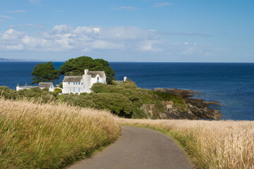 The road to Chapel point, Cornwall