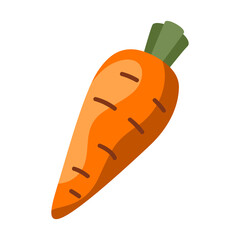 Illustration of fresh ripe carrot.