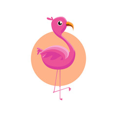 Cute flat flamingo illustration vector design isolated on white background