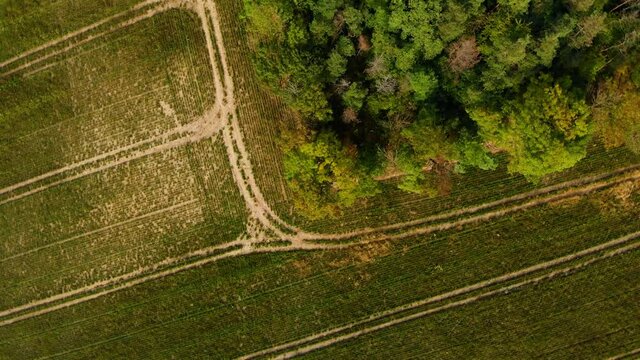 Beautiffull Autumn drone fly over the trees and fields