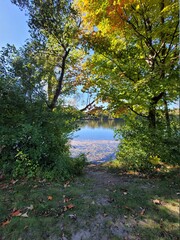 hidden lake in forest