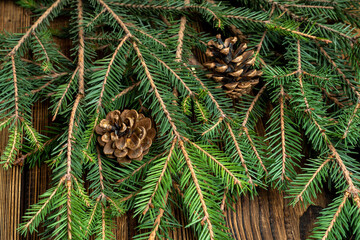 Fir, spruce branches, pine cones on brown wooden background with copy space