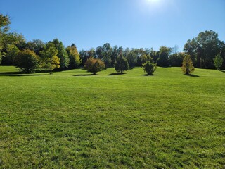 grass and sky