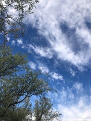 Obraz premium clouds in the sky