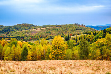 Obraz premium Colorful autumn landscape in the Romanian Carpathians, Fantanele village, Sibiu county, Cindrel mountains, 1100m, Romania