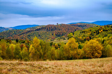 Fototapeta na wymiar Colorful autumn landscape in the Romanian Carpathians, Fantanele village, Sibiu county, Cindrel mountains, 1100m, Romania