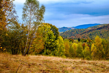 Colorful autumn landscape in the Romanian Carpathians, Fantanele village, Sibiu county, Cindrel mountains, 1100m, Romania