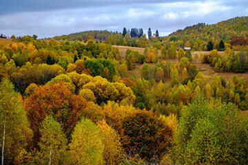 Naklejka premium Colorful autumn landscape in the Romanian Carpathians, Fantanele village, Sibiu county, Cindrel mountains, 1100m, Romania