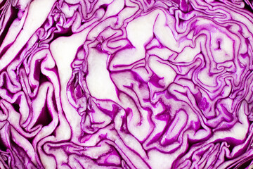 Obraz premium A slice of a head of red cabbage. Close-up. Texture background