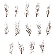 Dry tree branches. Different tree branches set.
