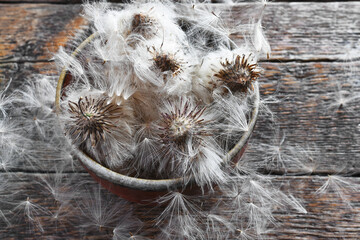 An image of hand picked milk thistle seeds in a hand made pottery bowl. 