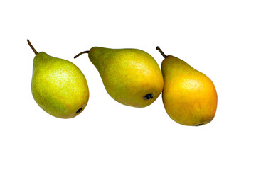 Close-up of three yellow-green pears, isolated on white background