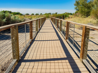 Obraz premium Sunny view of some landscape around Henderson Bird Viewing Preserve