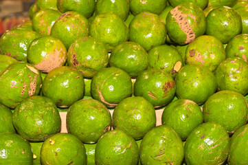 top view, medium distance of a group of freshly picked, local, ripe avocados, on display and for sale at a tropical market