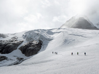 Gletscherseilschaft auf dem Taschachferner, &Ouml;tztaler Alpen, &Ouml;stereich
