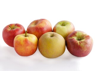multicolor delicious apples from orchard close up