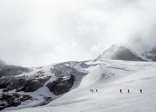 Gletscherseilschaft auf dem Taschachferner, Ötztaler Alpen, Östereich
