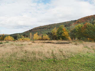 Fototapeta premium Landschaften im Herbst – Fischbach bei Dahn – Ortsgemeinde in Rheinland-Pfalz