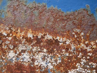 Pattern on the surface of the underwater part of the ship
