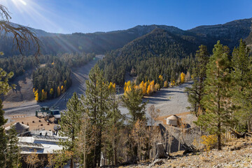 Sunny view of the fall color of Lee Canyon