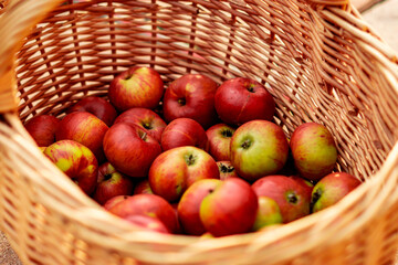 Basket full of  red apples