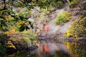 Point d'eau autour du Méandre de Queille, proche des vola'. d'Auvergne