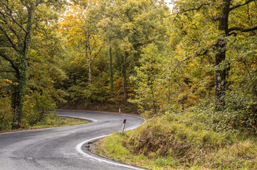 Fototapeta premium Strada in autunno