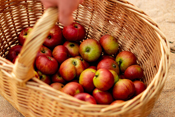 Äpfel im Korb