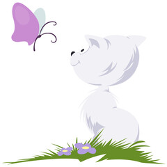 Kitten looking to butterfly. Illustration for internet and mobile website.