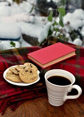 Fresh homemade warm comforting chocolate chip cookies ready to eat and enjoy with cozy mug of tea and relaxing with a book on a cold winter afternoon
