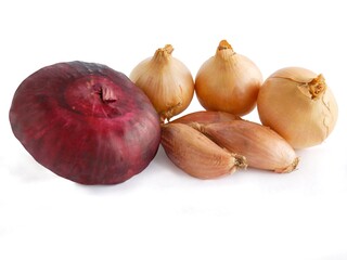 various,multicolor onions as tasty vegetable and spice