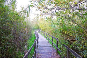 Obraz premium Nazzano Tevere Farfa Natural Reserve in the province of Rome, Italy