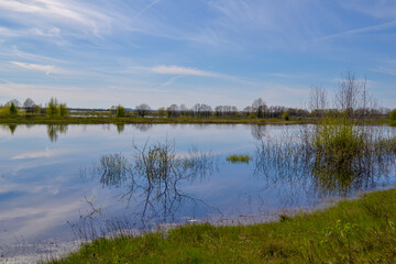 Forest lake Spring in the forest