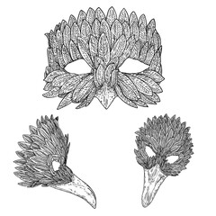 Set of Venetian carnival bird face mask for party decoration or masquerade , hand drawing. Vector.