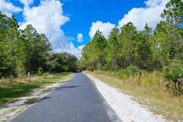 Fototapeta na wymiar A biking trail in a sunny day in Florida. Taken in Flatwood park in Tampa. Florida