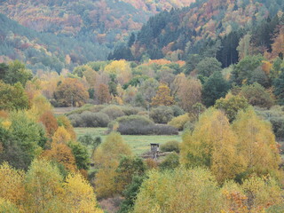 Landschaften im Herbst – Fischbach bei Dahn – Ortsgemeinde in Rheinland-Pfalz