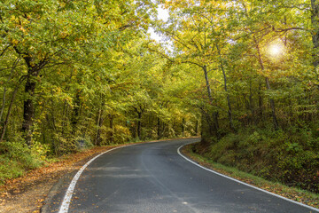 strada in autunno