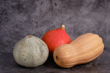 Close-up group of Three different sorts of pumpkins on the gray stone table as  background. Natural light. Concept of seasonal harvesting. Copy space.