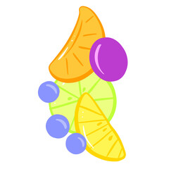 Fruit Splash Slices of Orange, Lime Lemon Grape and Blueberry Simple Illustration