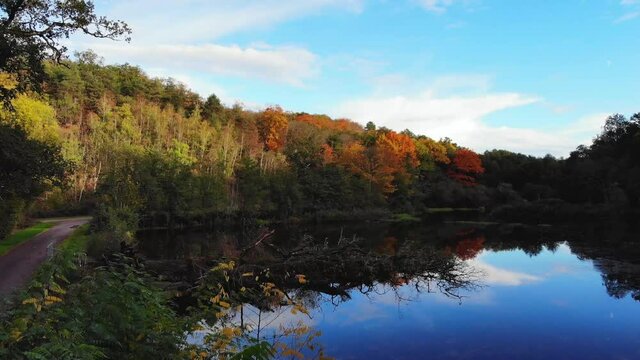 Vue a&eacute;rienne de la for&ecirc;t et d&rsquo;un &eacute;tang &agrave; l&rsquo;automne.