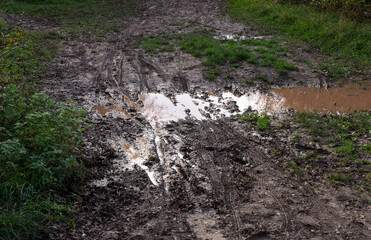 Muddy puddle on a path
