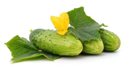 Green cucumbers with leaves and flower.