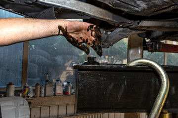 The car mechanic unscrews the diesel oil filter next to the oil pan, old black oil drains into the container.