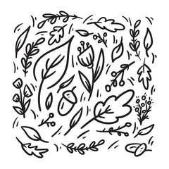 Autumn hand drawn set with leaves, plants, flowers and acorns. Free hand drawn image