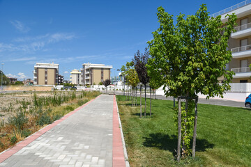 City park by Morning With Trees, Grass and Path