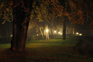 Pięknie oswietlony park nocą. - obrazy, fototapety, plakaty